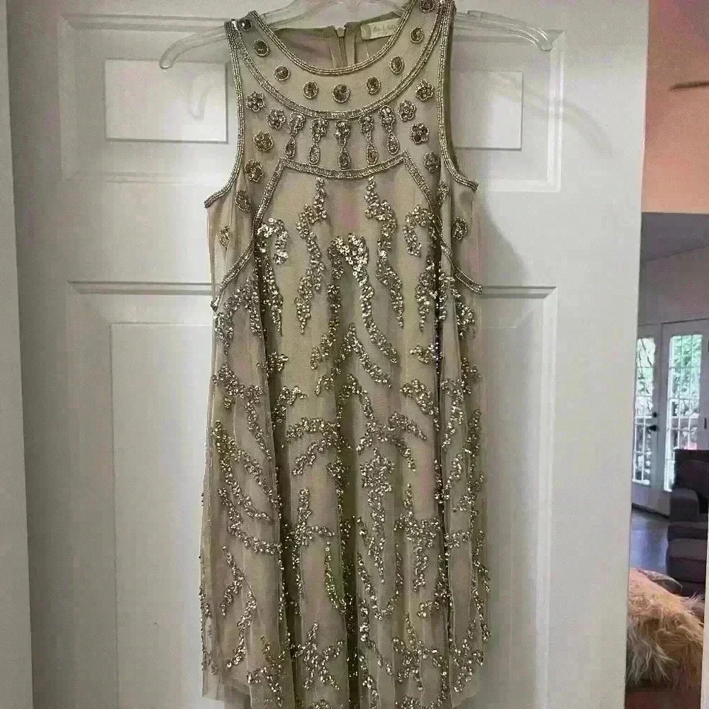 Altard State Sequined Dress NWT